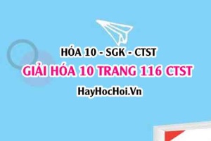 Giải Hóa 10 Chân trời sáng tạo trang 116